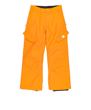 DC SHOES キッズ BANSHEE YOUTH PANT スノーパンツ 【25-26SNOWモデル】