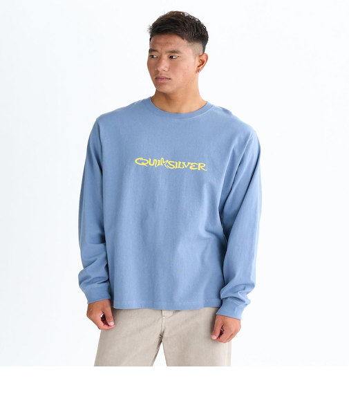 Quiksilver SNAKE TYPE LT 長袖Tシャツ メンズ