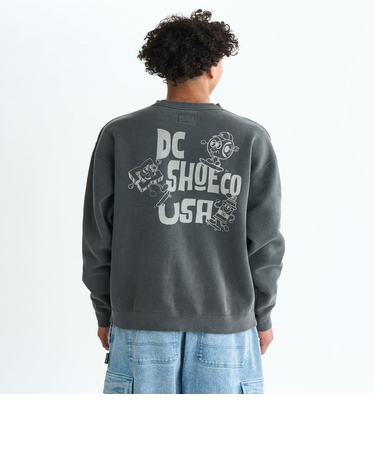 DC Shoes 25 NAUGHTY BOYS CREWNECK PULLOVER プルオーバー 裏起毛 メンズ