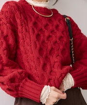 【WEB限定】ローゲージケーブルクロップドニット