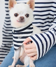 【DOG】バンダナ スカーフ