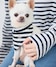 ネイビー(40)