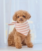 【DOG】バンダナ スカーフ