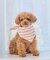 【DOG】バンダナ スカーフ