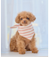 【DOG】バンダナ スカーフ