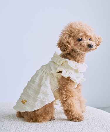 【DOG】フリルワンピース