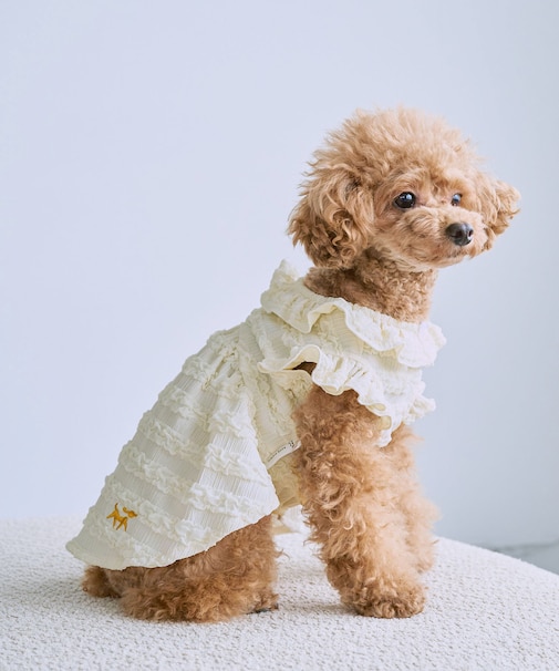 【DOG】フリルワンピース