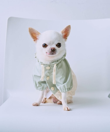 【DOG】【撥水加工】バイカラーマウンテンパーカー