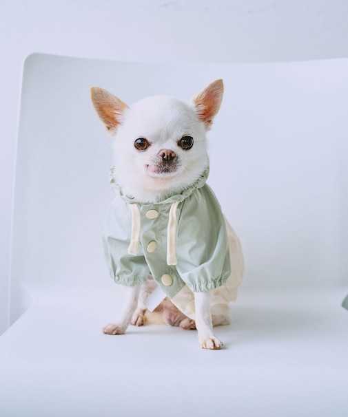 【DOG】【撥水加工】バイカラーマウンテンパーカー