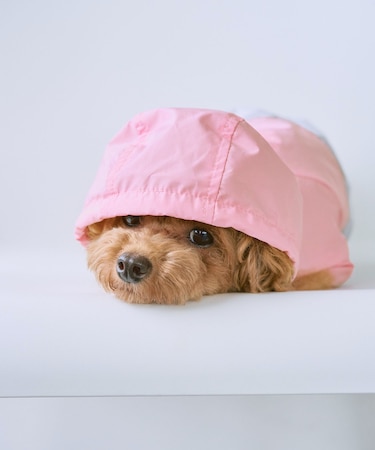 【DOG】【撥水加工】バイカラーマウンテンパーカー