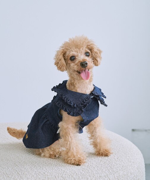【DOG】襟付きデニムワンピース