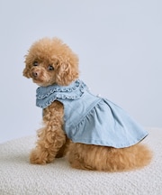 【DOG】襟付きデニムワンピース