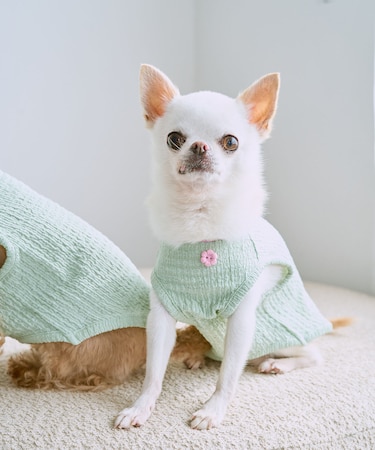 【DOG】パイピングタンクトップ