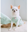 【DOG】パイピングタンクトップ