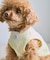 【DOG】パイピングタンクトップ