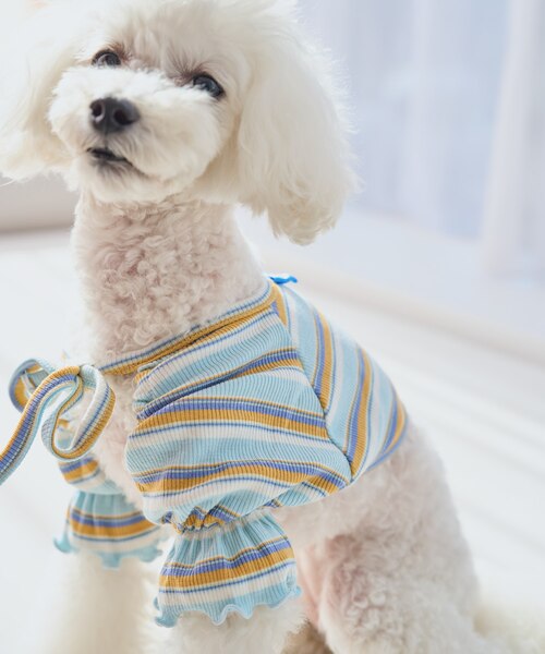 CAT&DOG】ベビモコシュナウザージャガードプルオーバー｜ジェラート