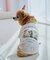 【DOG】RENUフォト&ロゴTシャツ/リンクコーデ