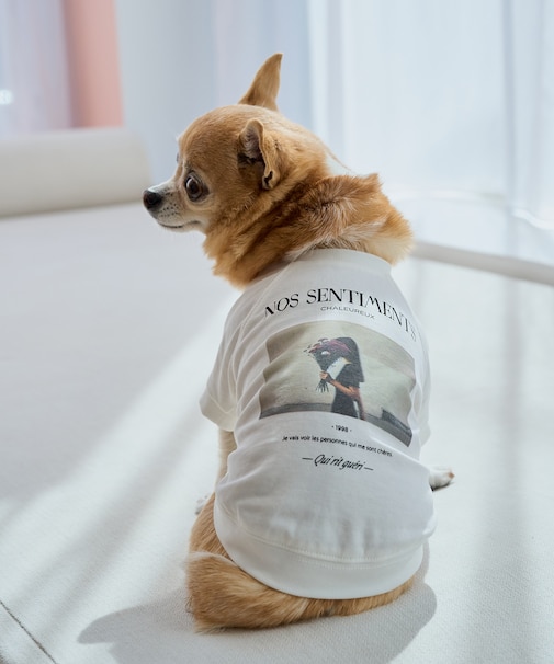 【DOG】RENUフォト&ロゴTシャツ/リンクコーデ
