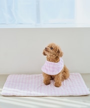 【DOG】ひんやりマット