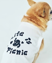 【Chocomoo×ROPE' PICNIC】【DOG】【接触冷感】ロゴTシャツ