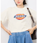 【Dickies】アイコンクロップドTシャツ
