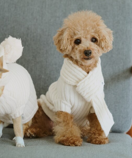 【DOG】ケーブル編みニットマフラー