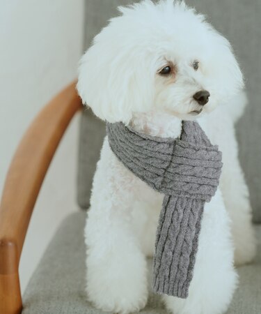 【DOG】ケーブル編みニットマフラー