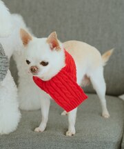 【DOG】ケーブル編みニットマフラー