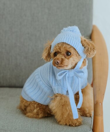 【DOG】リブ切り替えニット/リンクコーデ