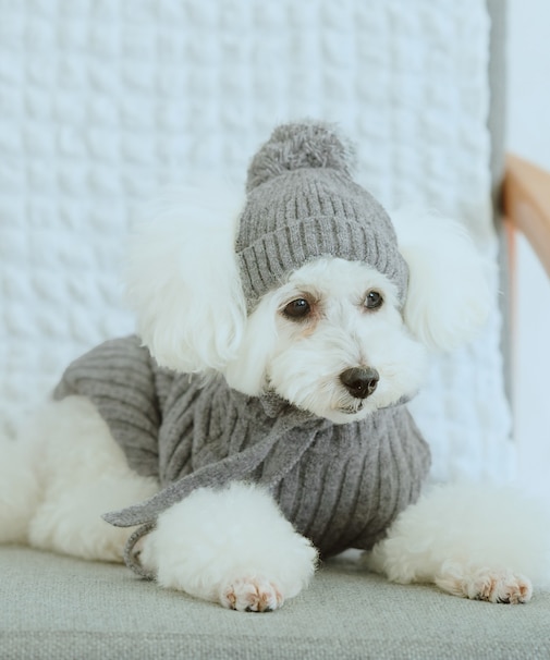 【DOG】リブ切り替えニットワッチ