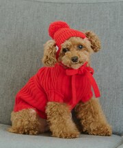 【DOG】リブ切り替えニットワッチ