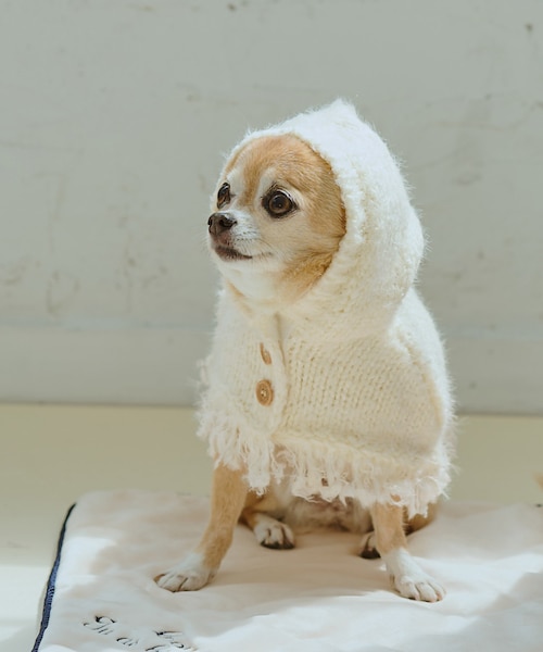 貴重✨️【ロペピクニックパサージュ】ラクーン ラビット毛フード付きニットポンチョ 貴重✨️【ロペピクニックパサージュ】ラクーン ラビット毛フード付き