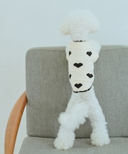 【DOG】ランダムハートニット