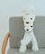 【DOG】ランダムハートニット
