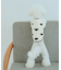 【DOG】ランダムハートニット
