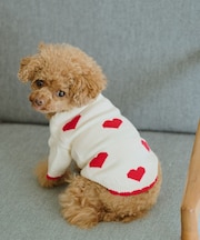 【DOG】ランダムハートニット