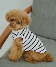 【DOG】リンクボーダータンクトップ