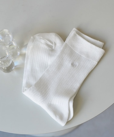 RPロゴソックス