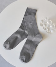 RPロゴソックス