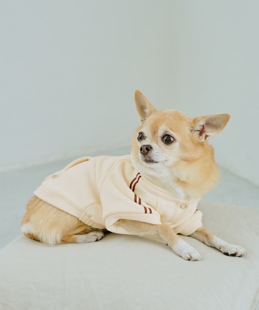 【DOG】サイドラインパーカー/リンクコーデ