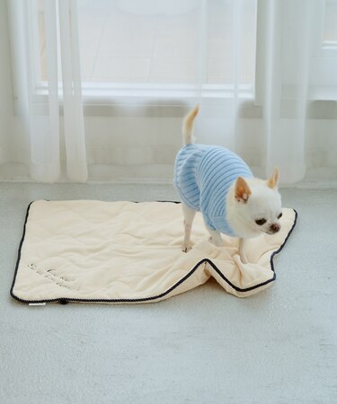 【DOG】もちもちマット