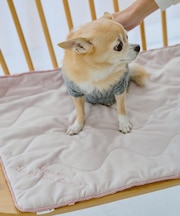 【DOG】もちもちマット