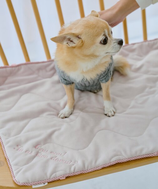 【DOG】もちもちマット