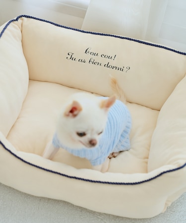 【DOG】もちもちベッド