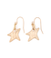 スターモチーフフックピアス