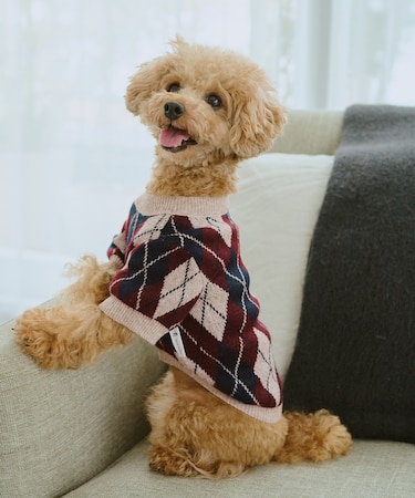 【DOG】アーガイルニットプルオーバー