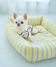 【DOG】マルチストライプひんやりベッド
