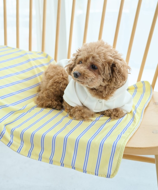 【DOG】マルチストライプひんやりブランケット