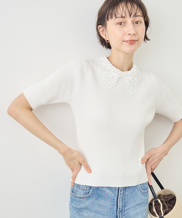 レースカラーハーフスリーブリブニット