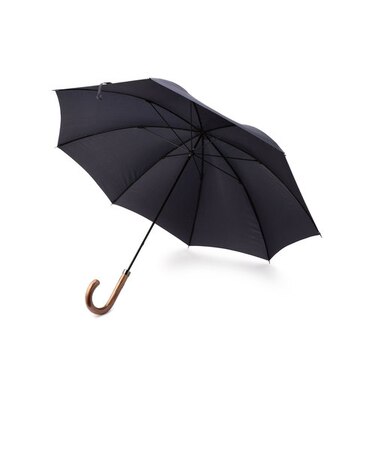 SD: ソリッド アンブレラ